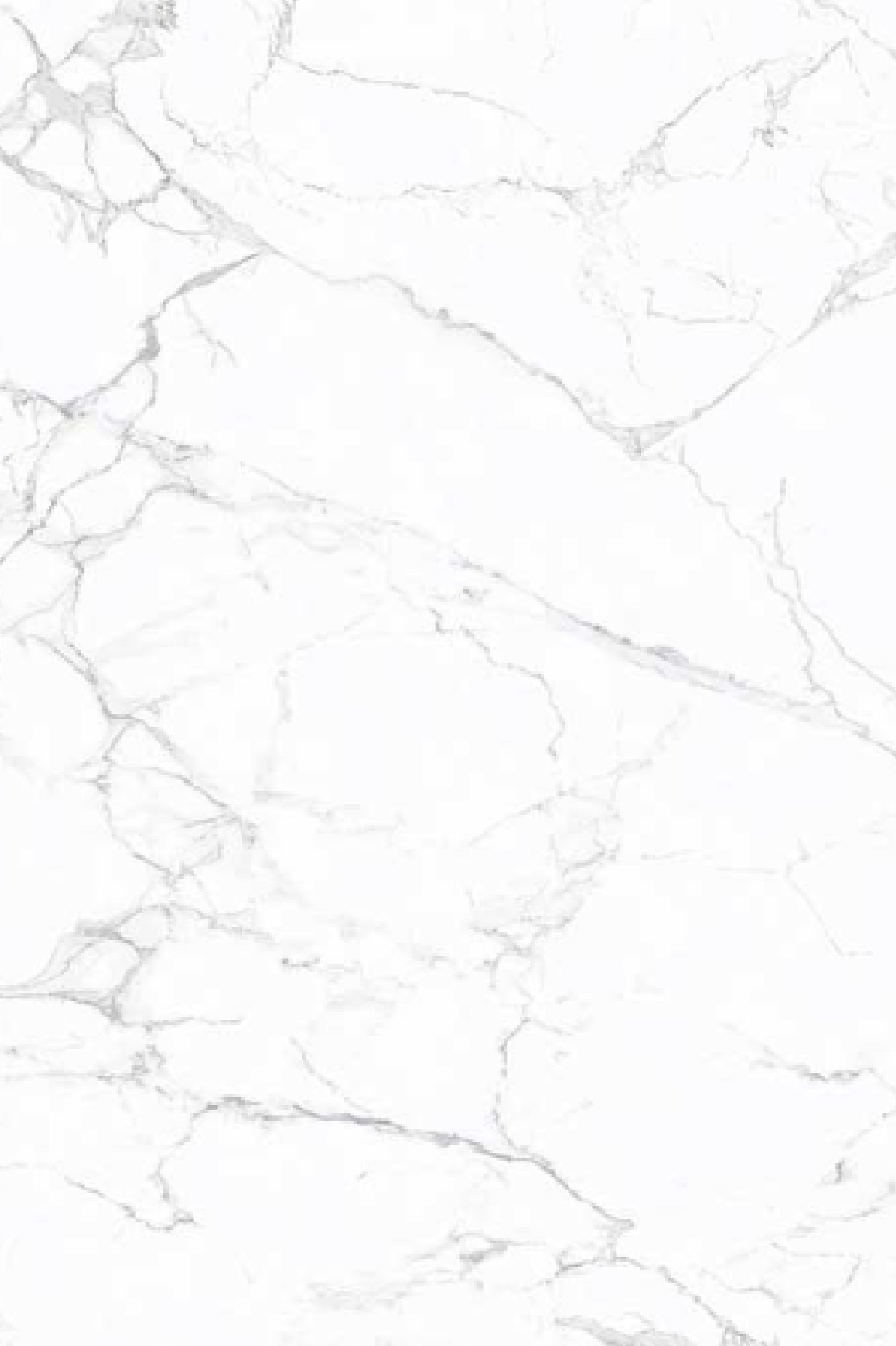 Carrara Porcelain