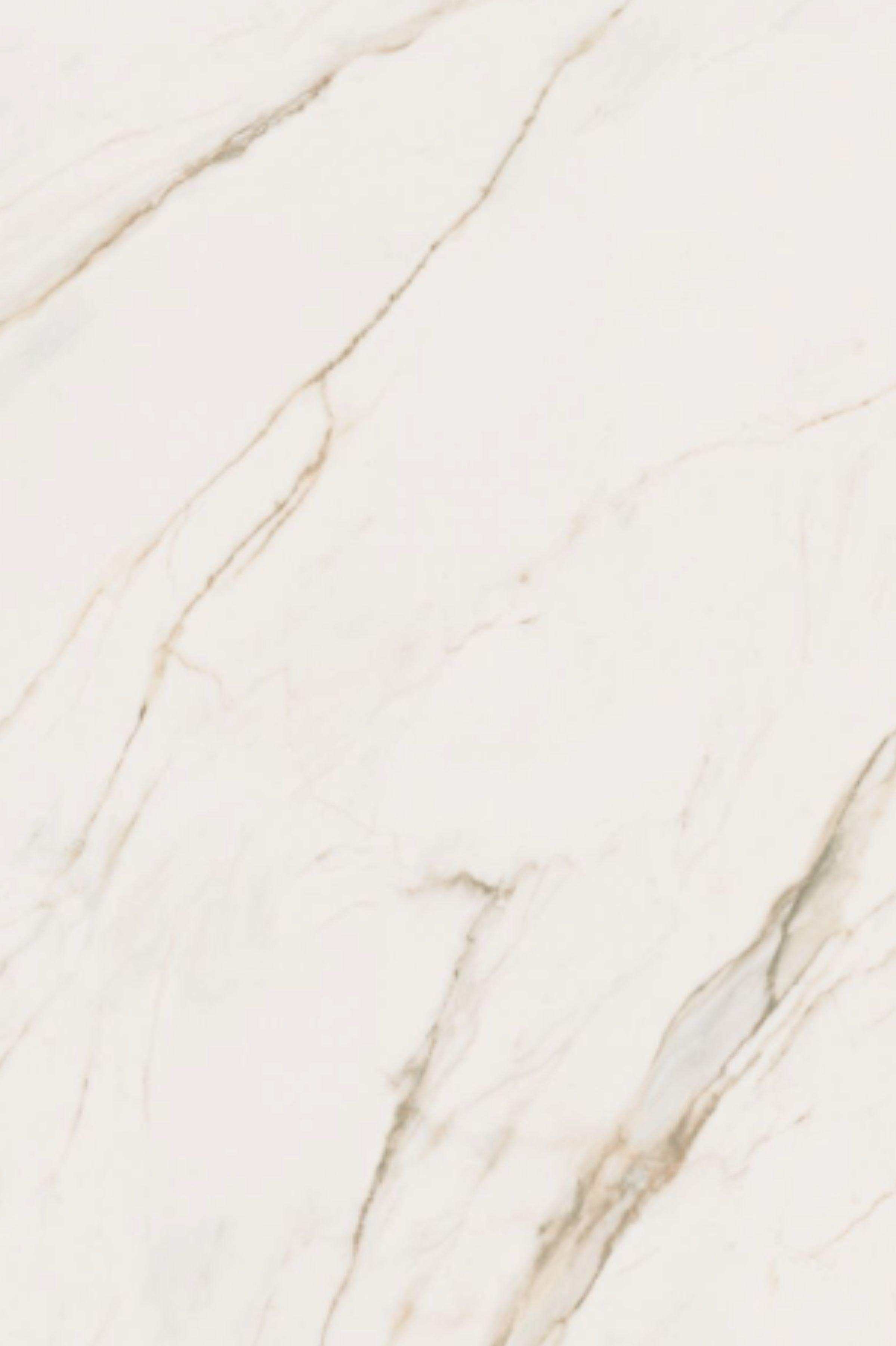Calacatta Gold Porcelain